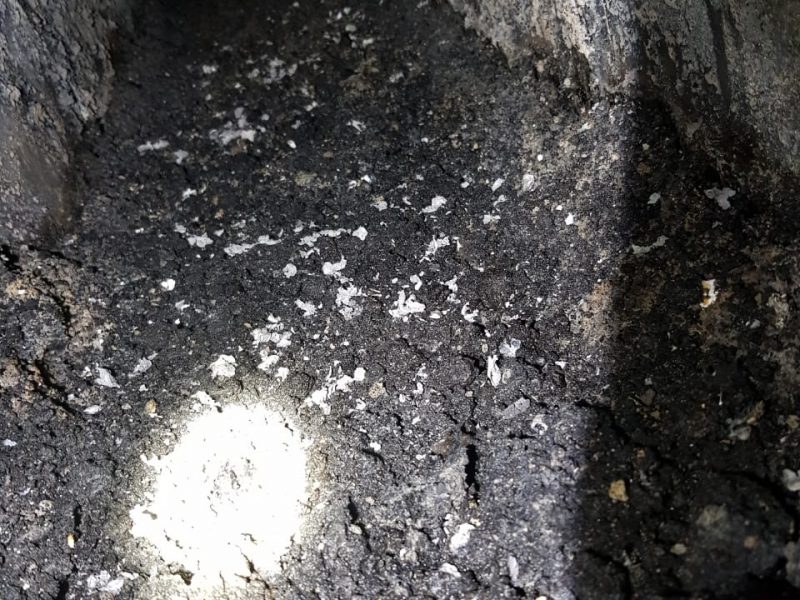 hole canopy cleaning in melbourne